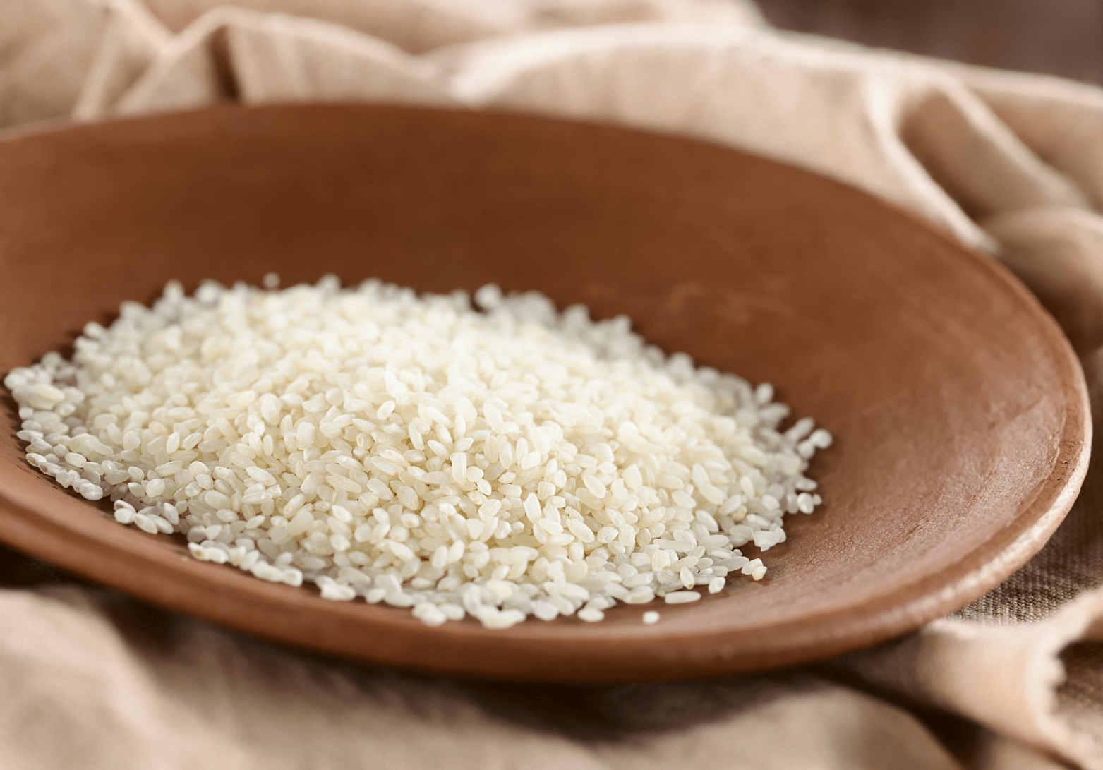 Arborio Rice