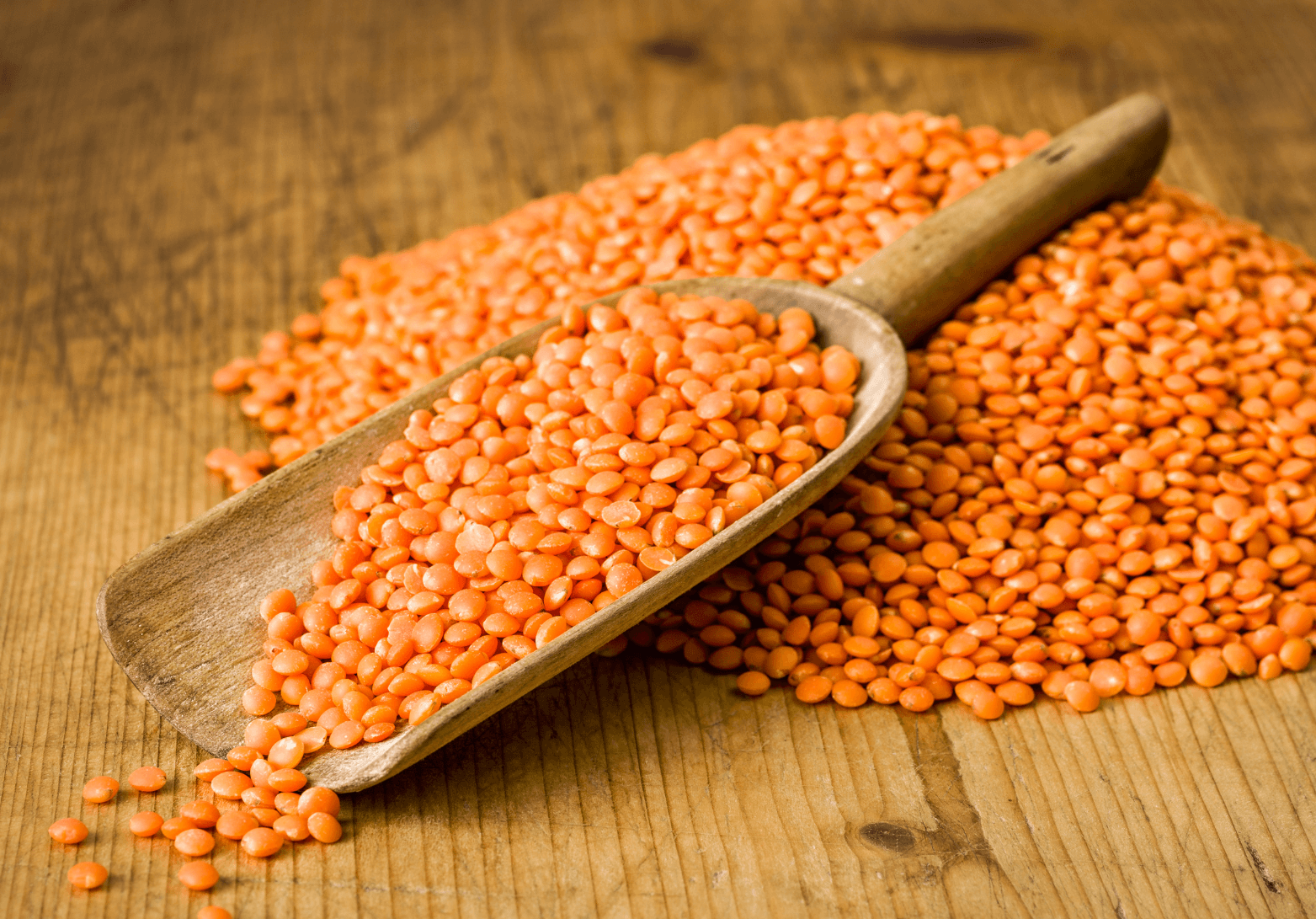 Red Lentils